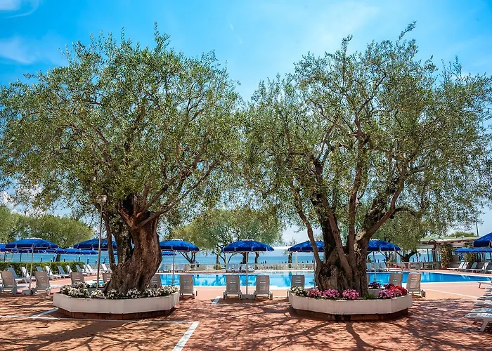 Hotel Torre Oliva